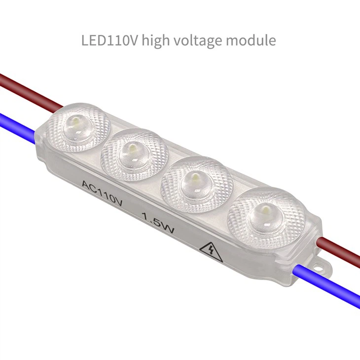 110V LED Moudle