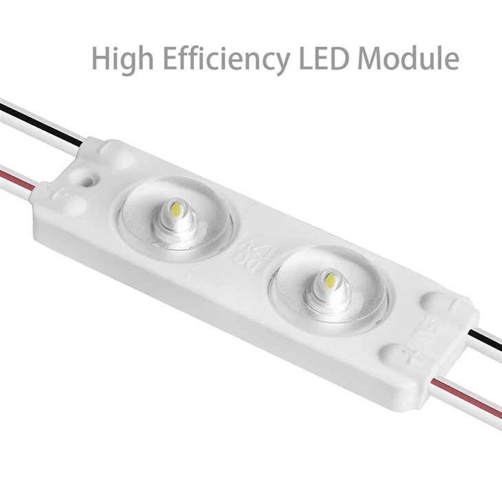 2 Led Module