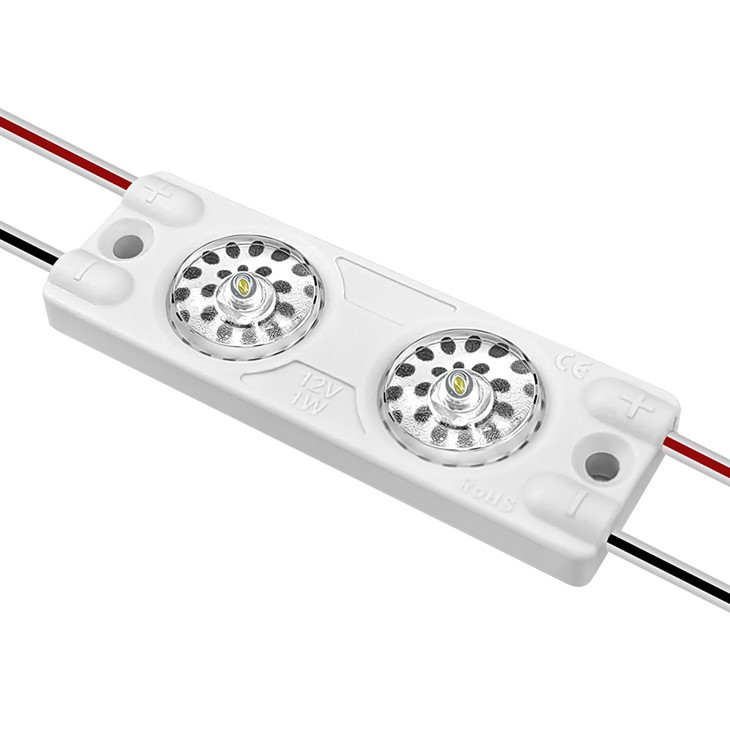 Eco High Efficiency 2 LED Module