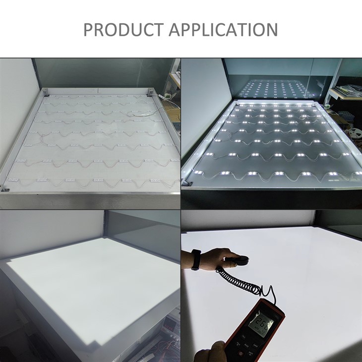 Eco High Efficiency 2 LED Module