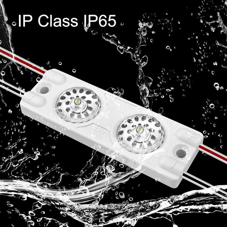 Eco High Efficiency 2 LED Module