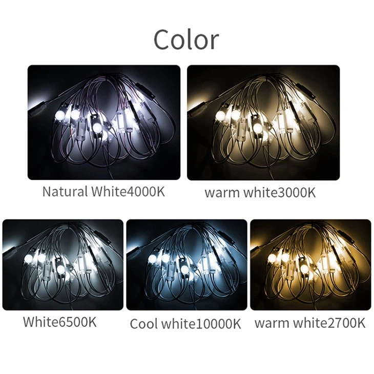 Economic LED Module Single LED