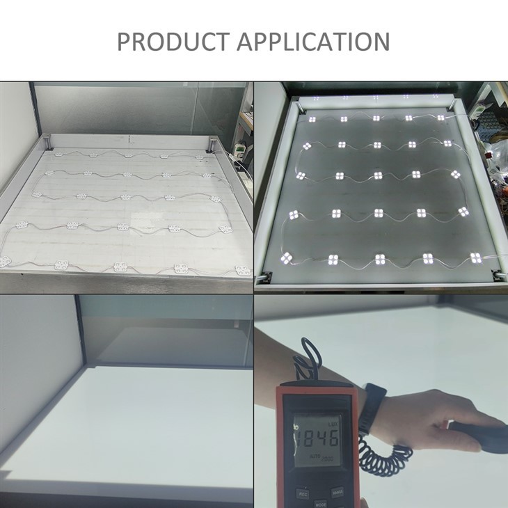 High Efficiency 4 Led Module 2W