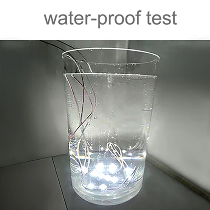 High Voltage LED Module
