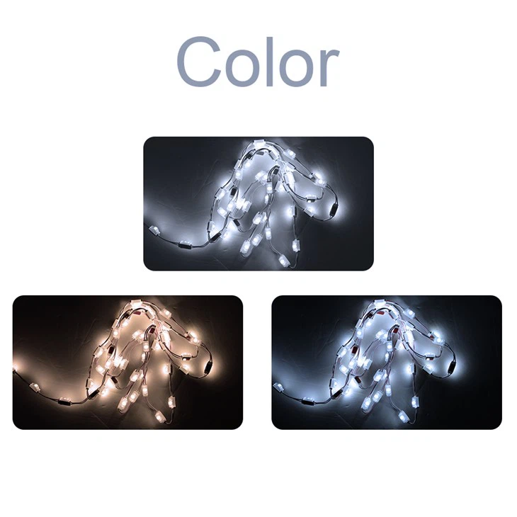 Micro Mini Led Module