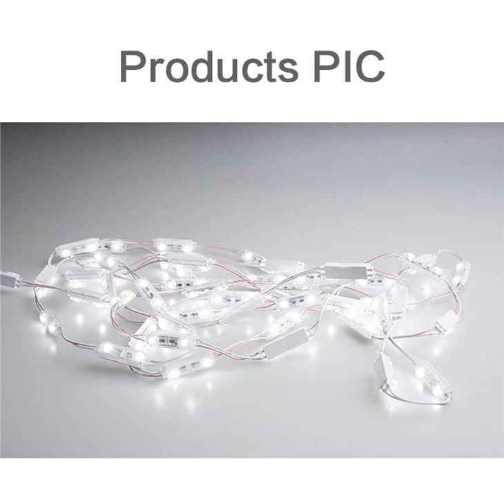 Mini LED Module 2 LED With Lens