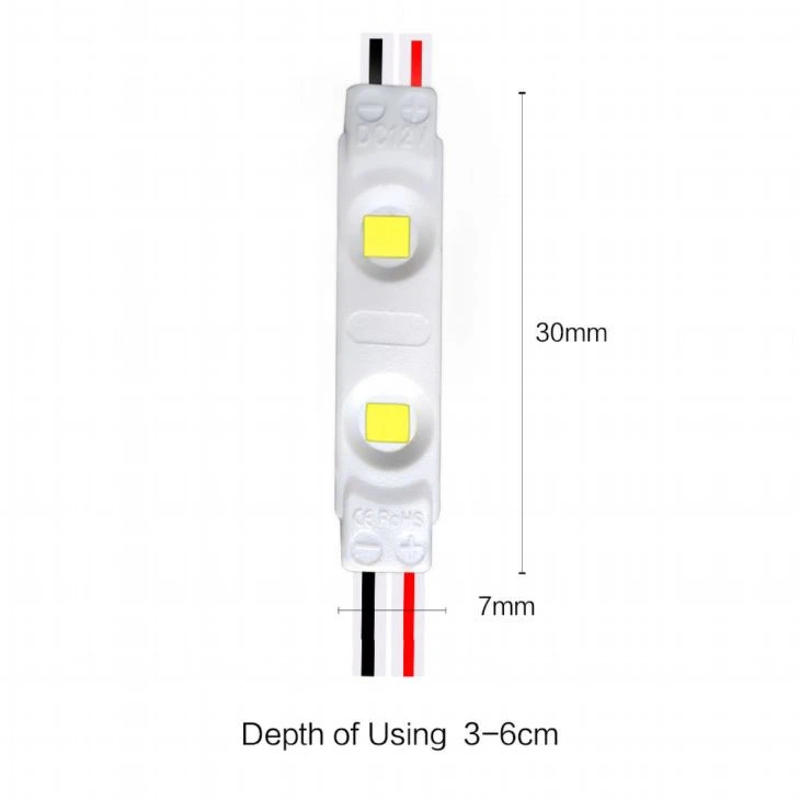 Mini LED Module 2 LED