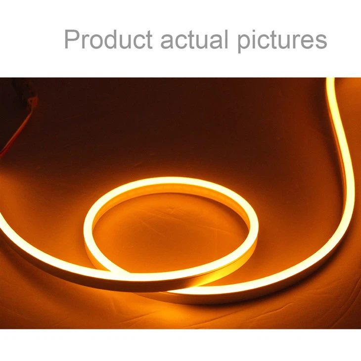 Neon Rope Lights Outdoor