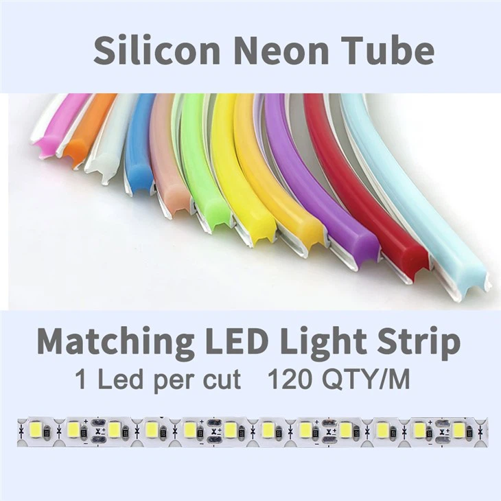 Silicon Neon Tube