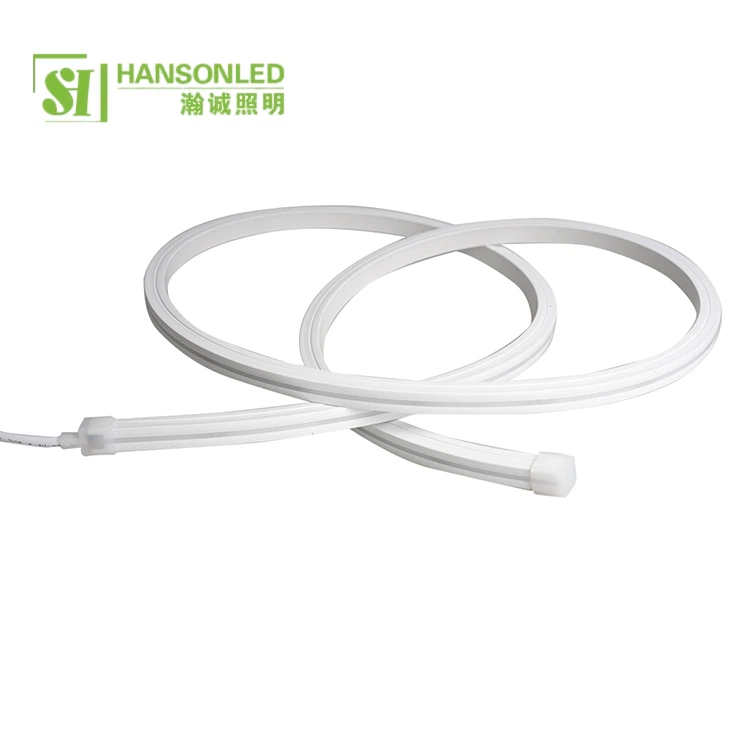 Top View Neon Flex 1010