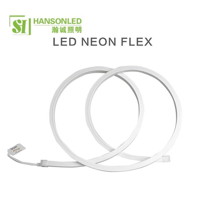 Top View Neon Flex 1010