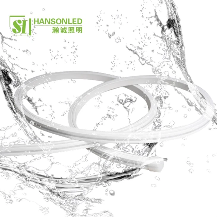 Top View Neon Flex 1010