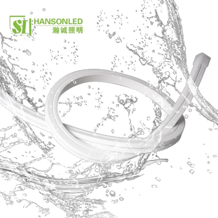 Top View Neon Flex 1313