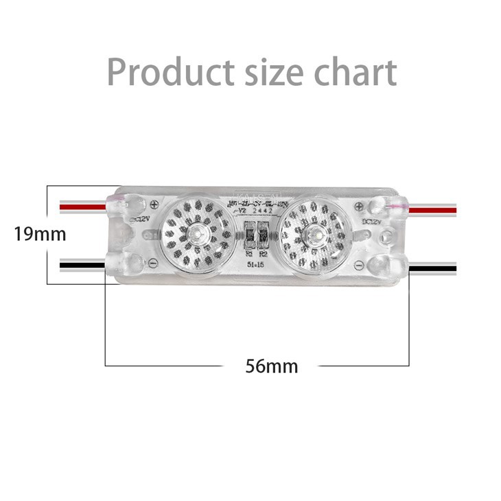 Black Dot LED Module