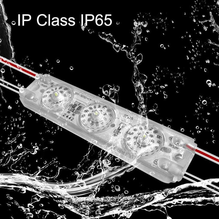 3 light Black Dot LED Module