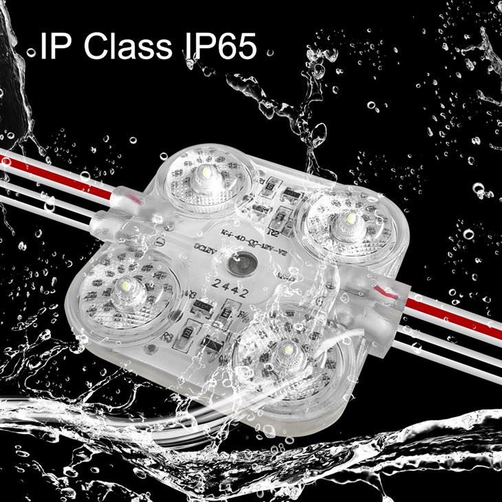 4 Light Black Dot LED Module