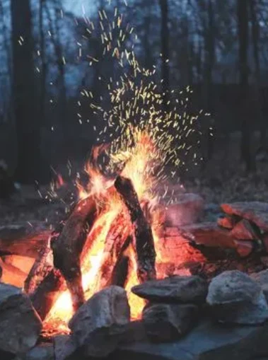 info-379-509 info-379-509