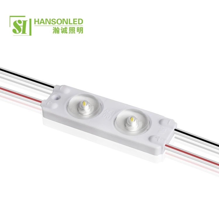 24V LED Module 2 Led