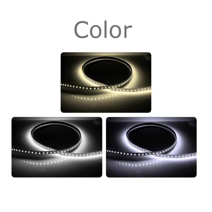 two cct led strip
