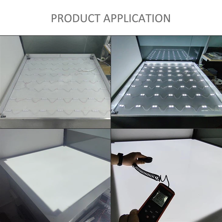 Eco High Efficiency 2 LED Module
