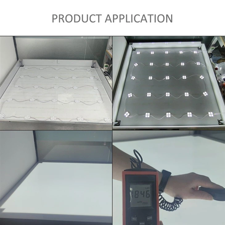 High Efficiency 4 Led Module 2W