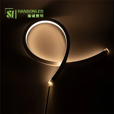 Can a top view neon flex be used in a gym?