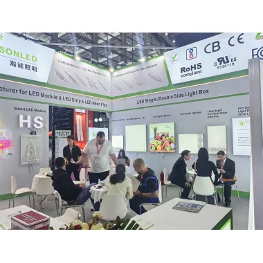 The 23rd Shenzhen International LED Exhibition in 2025