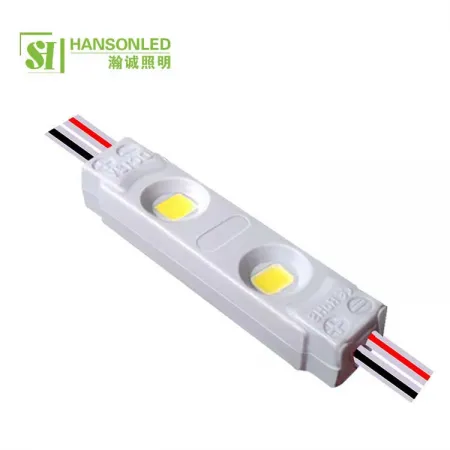 Mini LED Module 2 LED