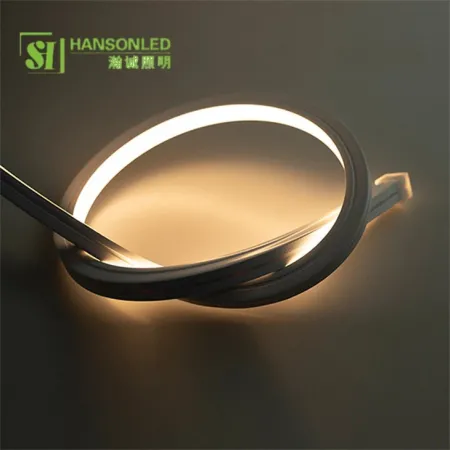 Top View Neon Flex 1313